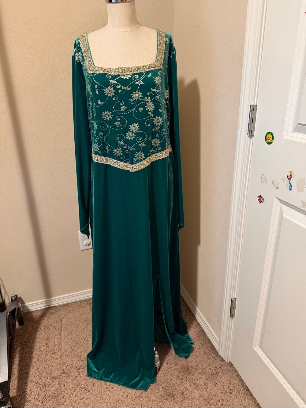 Shrek Princess Fiona Costume